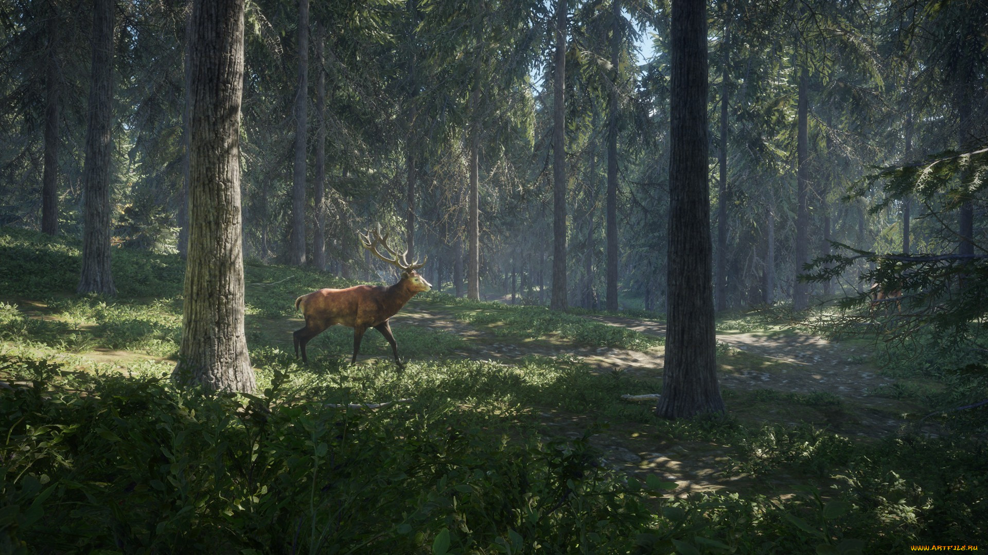  , the hunter, the, hunter